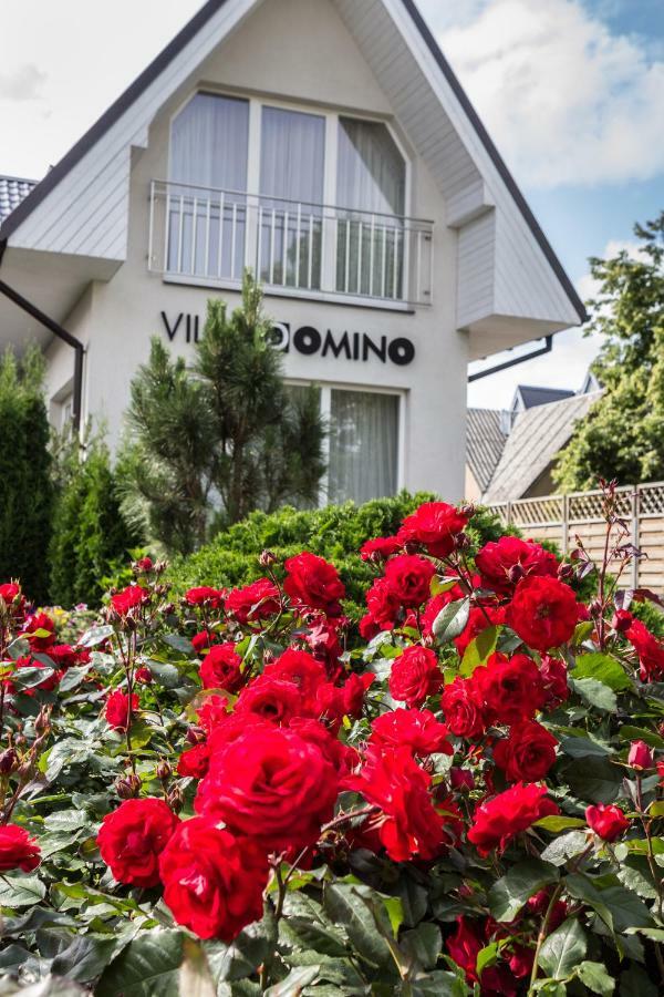 Vila Domino بالانغا المظهر الخارجي الصورة